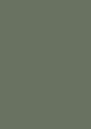 Picture of Moorman Double Imperial Mountboard 820X1120mm Fern Green