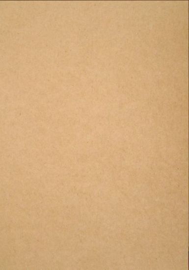 Picture of Vanguard 230Gsm 450X640 Biscuit