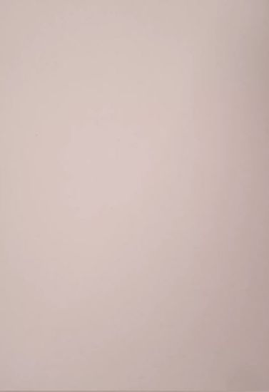 Picture of Vanguard 230Gsm 450X640 Blush