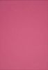 Picture of Vanguard 230Gsm 450X640 Cerise