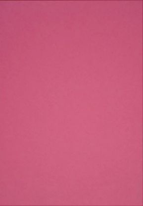 Picture of Vanguard 230Gsm 450X640 Cerise
