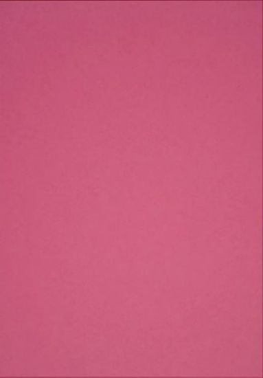 Picture of Vanguard 230Gsm 450X640 Cerise