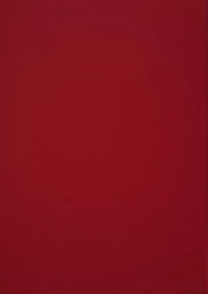 Picture of Vanguard 230Gsm 450X640 Cherry