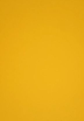 Picture of Vanguard 230Gsm 450X640 Gold