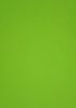 Picture of Vanguard 230Gsm 450X640 Lime Green