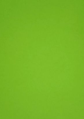 Picture of Vanguard 230Gsm 450X640 Lime Green