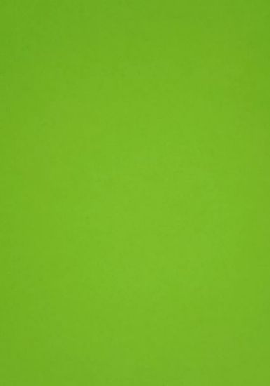Picture of Vanguard 230Gsm 450X640 Lime Green