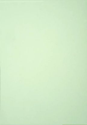 Picture of Vanguard 230Gsm 450X640 Peppermint