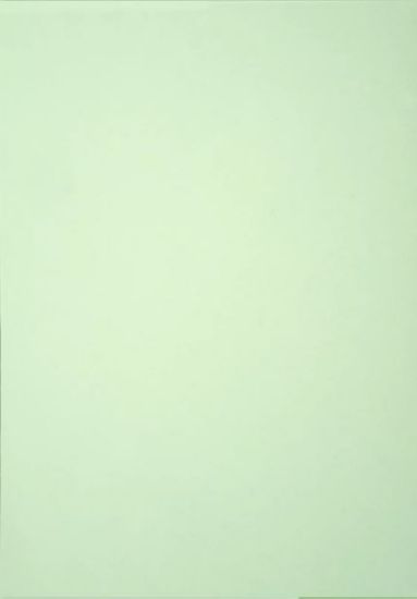 Picture of Vanguard 230Gsm 450X640 Peppermint