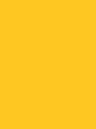 Picture of Vanguard 230Gsm 450X640 Sun Yellow