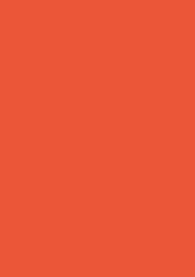 Picture of Tinted Card 300Gsm 50X70 Orange