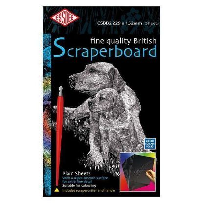 Picture of Essdee White Scraperboard 152X229mm Pack Of 5 Sheets