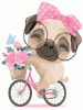 Picture of Pug On A Bike Ride Wrapped