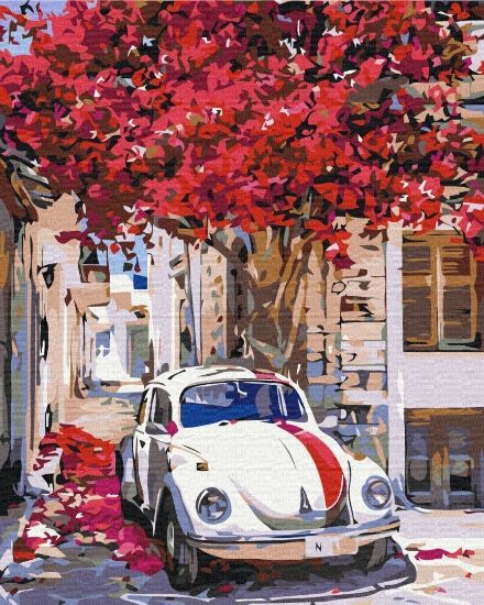 Picture of Car On A Flowering Street
