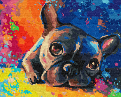 Picture of Colored Bulldog Wrapped