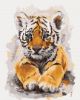 Picture of Cute Tiger Wrapped