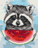 Picture of Summer Raccoon Wrapped
