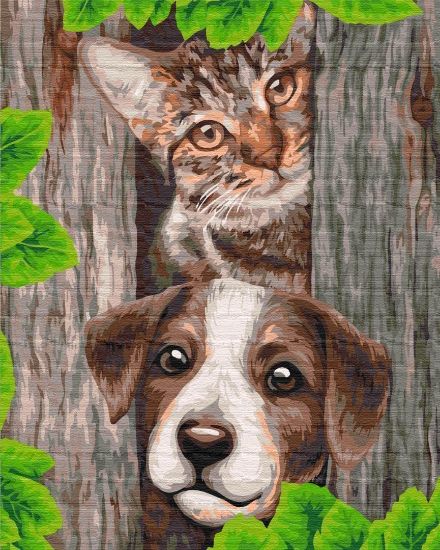 Picture of Curious Friends Boxed