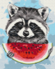 Picture of Summer Raccoon Boxed