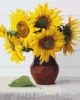 Picture of Sunflowers Boxed