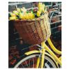 Picture of Basket For Tulips Boxed