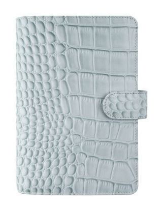 Picture of Org Personal Croc (C) Silver Mist