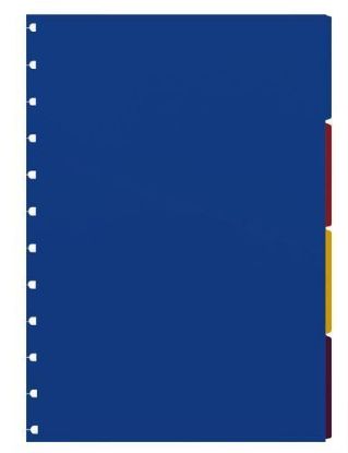 Picture of N/Book A4 Blank Dividers (R) Colour Divider 4 Blank Tab