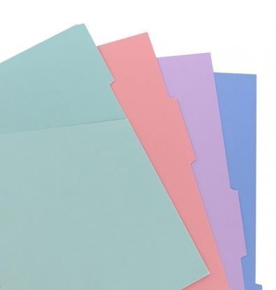 Picture of N/Book Pocket Blank Dividers (R) Pastel 