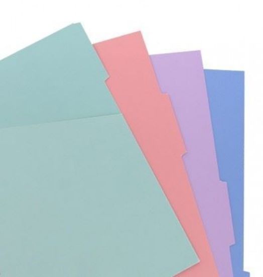 Picture of N/Book Pocket Blank Dividers (R) Pastel 