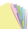 Picture of Org Personal Pastel Index Blank (R)