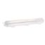 Picture of Empty Plastic Brush Case