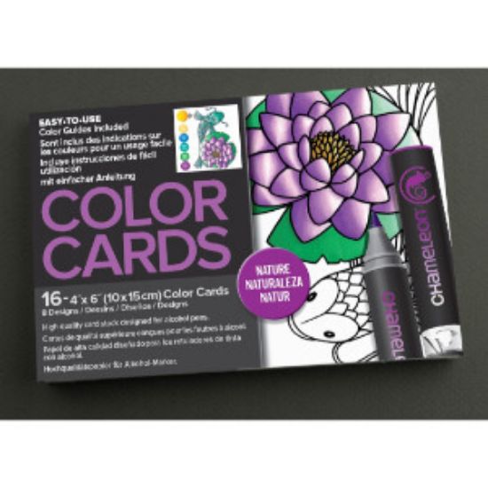 Picture of Chameleon Color Card Nature