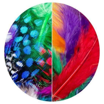 Picture of Dala Mixed Feathers 6Cm 50Pcs