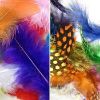 Picture of Dala Mixed Feathers 6Cm 50Pcs